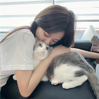 爱在离婚进行时