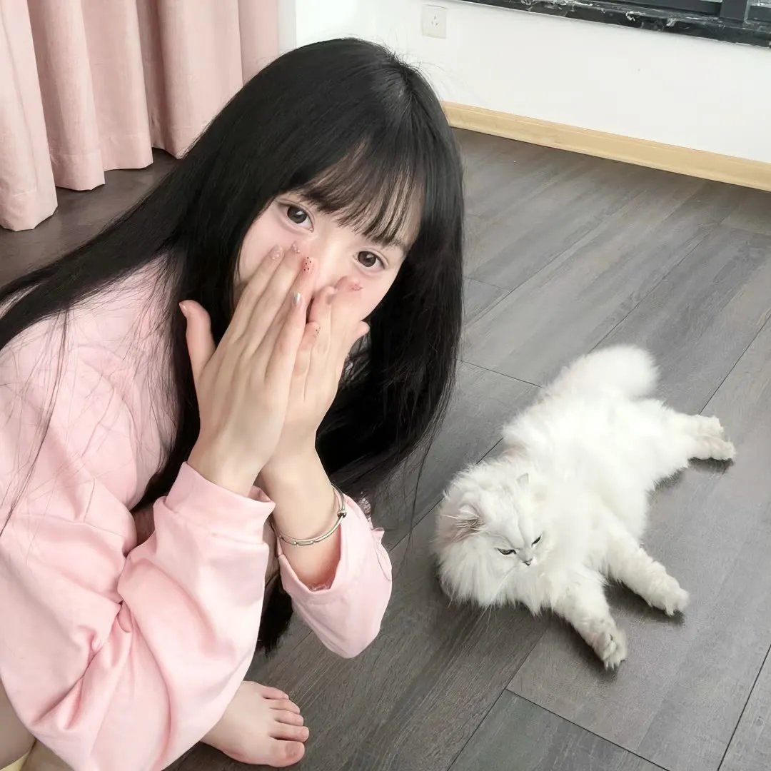 猛虎3
